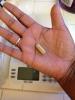 post-66507-13838396729641_thumb.jpg
