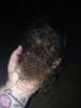 post-183549-14125957300791_thumb.jpg