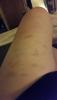 post-218498-14141058271012_thumb.jpg