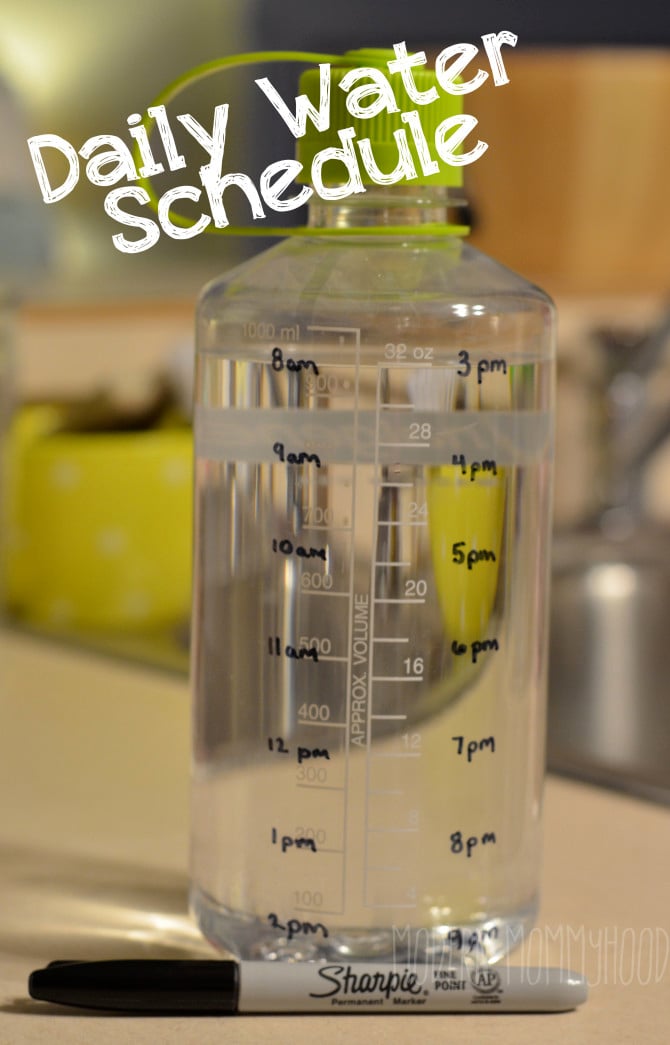 Water Schedule! So easy and fun :)