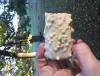 post-237766-0-91127900-1444778072_thumb.jpeg