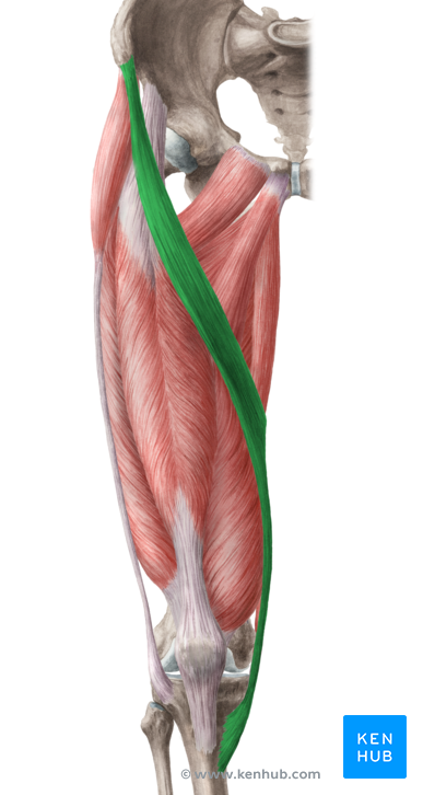 Have you experienced impaired mobility AFTER surgery and weight loss?