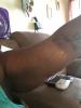post-302834-14776926663969_thumb.jpg