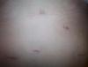 post-204969-13813132362807_thumb.jpg