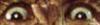 post-224357-13813138877395_thumb.jpg