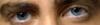 post-224357-13813138879871_thumb.jpg
