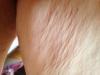 post-26019-13813660968297_thumb.jpg