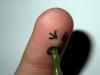 post-175552-0-60960500-1383941309_thumb.jpg