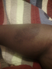 post-195996-0-96352300-1384734955_thumb.png