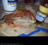 post-237766-0-77581800-1447453800_thumb.jpeg