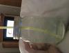 post-237766-0-87175500-1446390665_thumb.jpeg