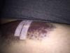 post-263848-1447558919409_thumb.jpg