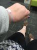 post-113943-14784697668953_thumb.jpg