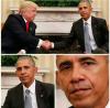 post-212472-14788463127964_thumb.jpg