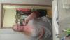 post-258106-14785394070027_thumb.jpg