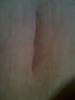 post-226850-13813136004762_thumb.jpg