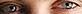post-224357-13813138922275_thumb.jpg