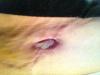 post-289795-13813140714063_thumb.jpg