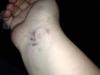 post-346604-13813140727263_thumb.jpg