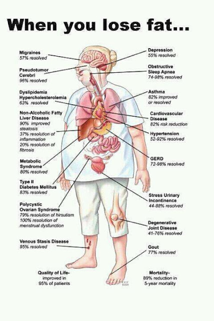 Results of Fat Loss