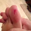 post-120520-0-39291600-1386289833_thumb.jpg
