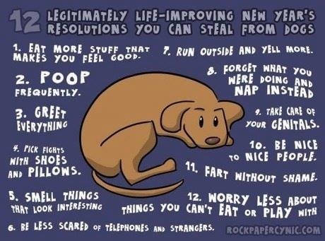 2014 New Year's Resolution