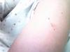 post-200380-0-40608200-1387458859_thumb.jpg