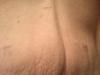 post-194772-14188234296127_thumb.jpg