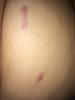 post-228049-14182395260061_thumb.jpg