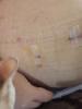 post-308362-14819499566484_thumb.jpg