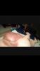 post-308684-14823322551937_thumb.jpg
