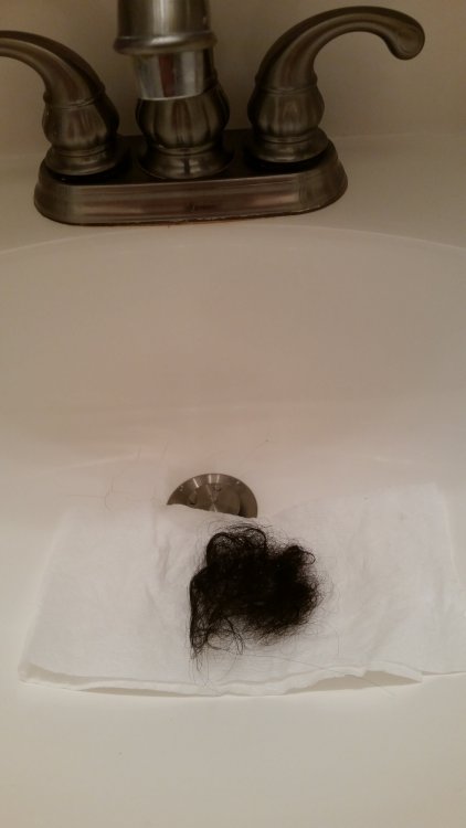 20170219_231322.jpg