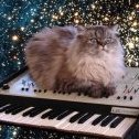 MSinger
