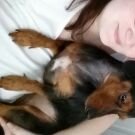 Kristi L