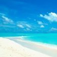 beachgal67