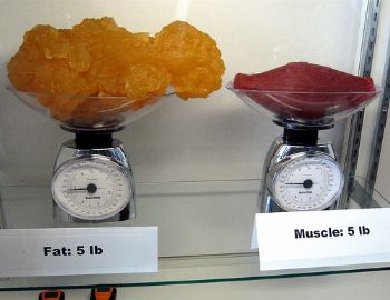 Too much exercise is feeding my stall! Who Knew????