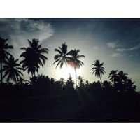 moniwood28