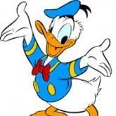 Cloebird