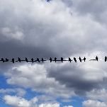 enigma_007