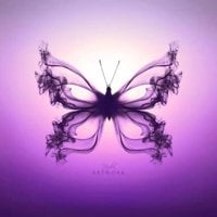 MsButterflyKiss