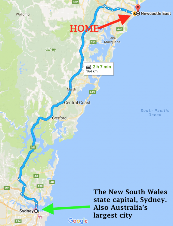 map4bariatricPAL.jpeg