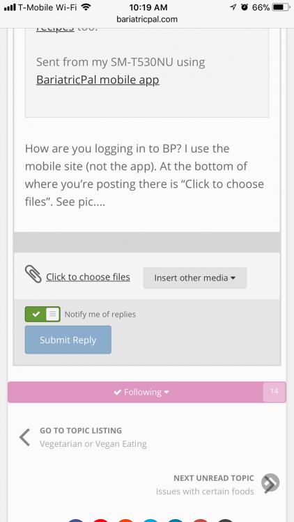 1EA75295-C1D1-4488-A7A8-F23B165CEDD1.png