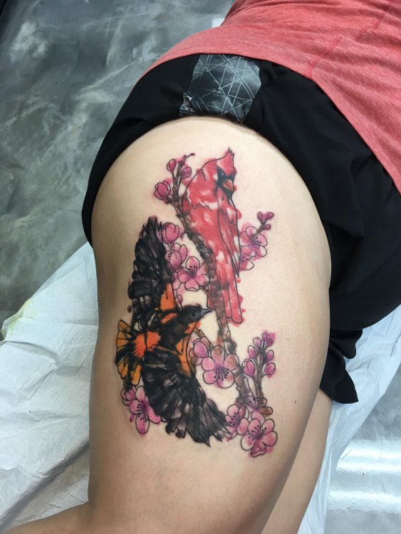 bird tattoo 8.18.17.jpg