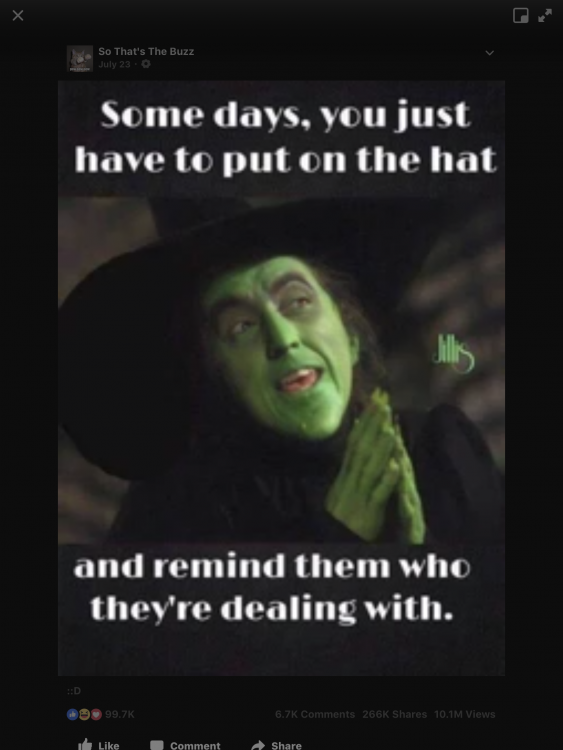 A4D9BFA2-0F02-4774-8D67-33DA534980F8.png