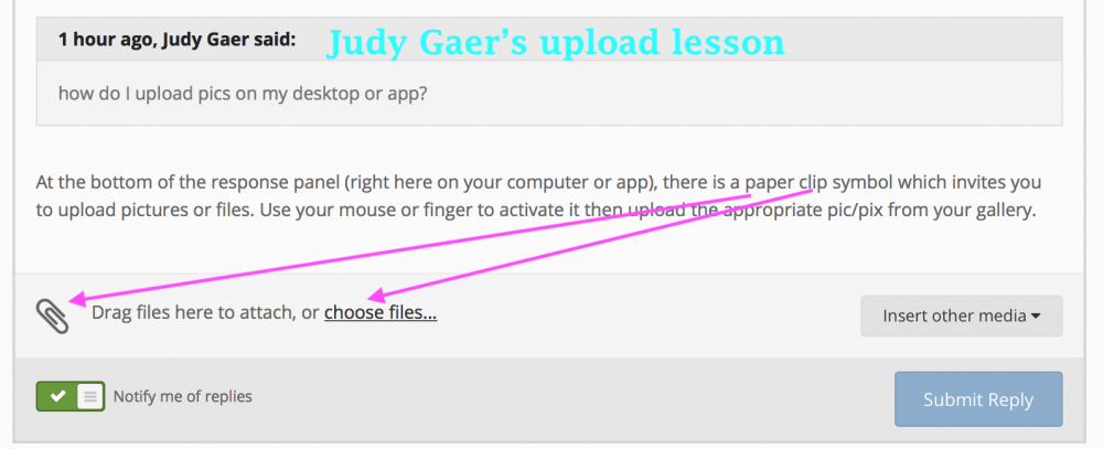 Judy_Gaer.thumb.jpeg.5d5bf7e42a33ced9489b051eaab627aa.jpeg