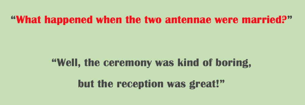 antennae_wed.thumb.jpeg.7e9469c61bb2acb09bcb498a3faf544c.jpeg