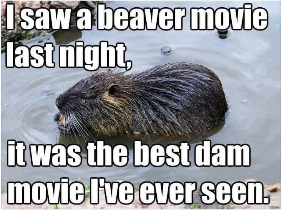 dad_joke_beaver_dam.png.fdfe3801fb8f8ca3dcb43ed25ddea839.png