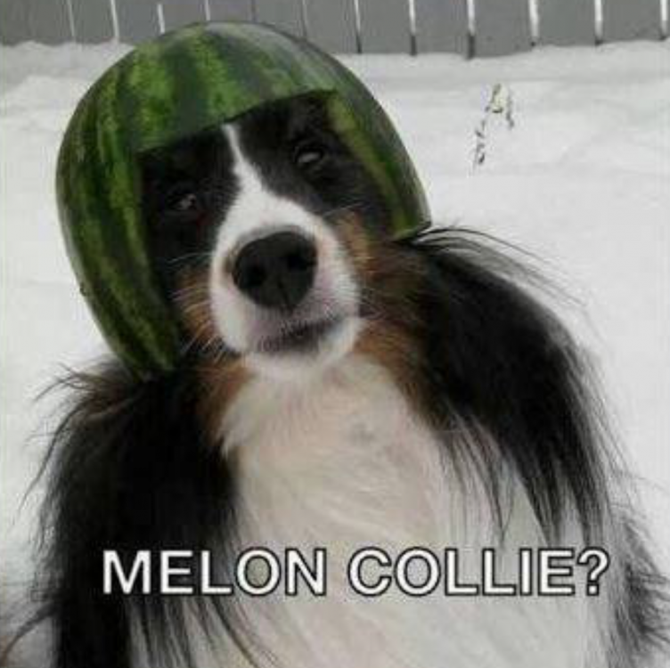 dad_joke_melancholy.thumb.png.3186f2315350f24ae5482a3e734a258a.png