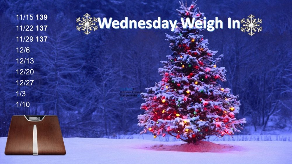 holiday weight loss day 3.jpg
