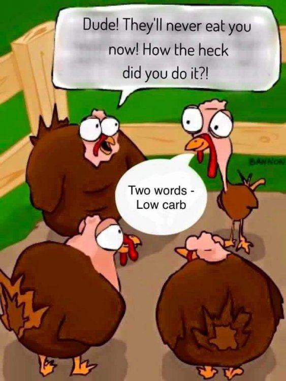 b7bf67fa7ef87a3ed04ff453ea106434--thanksgiving-funny-healthy-choices.thumb.jpg.c58a231a7f159d247ecefc9b3798b109.jpg